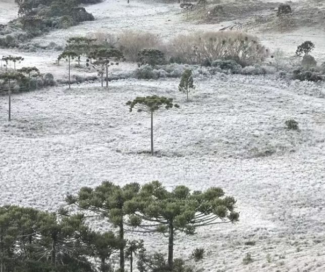 Sul amanhece congelado e registra temperaturas abaixo de zero em várias cidades