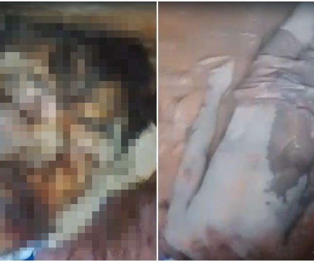 IMAGENS FORTES! Moradores encontram homem torturado por tribunal do crime e gravemente ferido em área de mata no município de Tefé. VEJA VÍDEO
