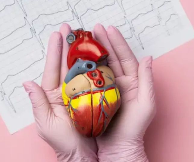 Colesterol alto: hábitos que aumentam o risco e como proteger o coração
