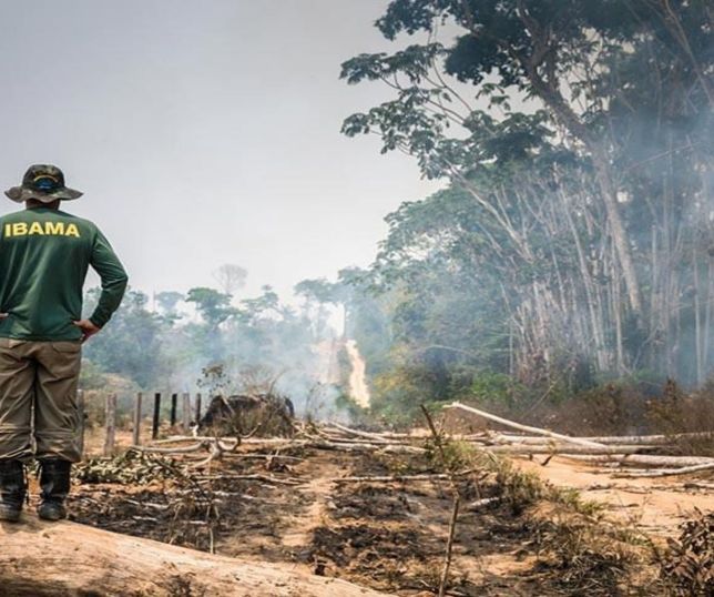 Governo amplia investimento histórico para combater desmatamento e incêndios florestais em 2026