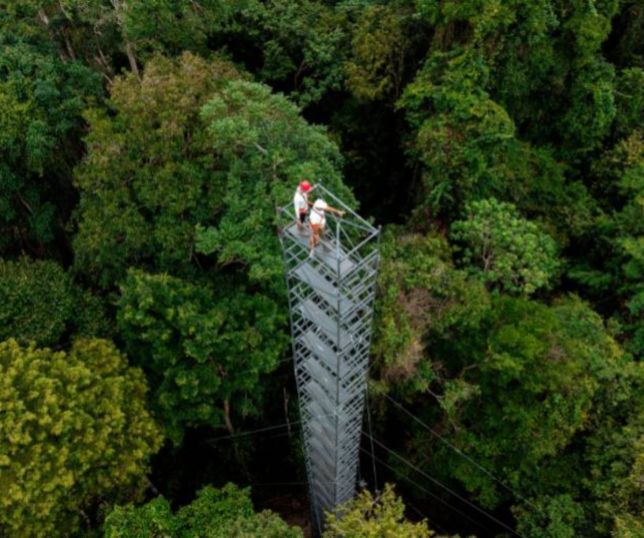  O legado de seu Duquinha e a ciência que estuda a regeneração da floresta na Amazônia 