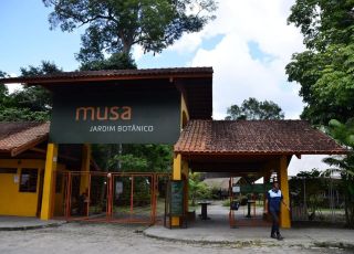 MUSA promove programação especial com foco na preservação da Amazônia durante Semana do Meio Ambiente