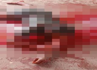 IMAGENS FORTES! Discussão entre irmãos termina em morte a facadas no bairro lagoa azul e choca moradores. VEJA REPORTAGEM DO 'PORTAL DO ZACARIAS' AO VIVO