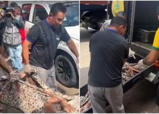 Corpo de homem é encontrado em banheiro de quitinete no bairro Crespo, Zona Centro-Sul de Manaus. VEJA REPORTAGEM DO 'PORTAL DO ZACARIAS' AO VIVO
