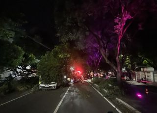 Árvore cai sobre carros e deixa feridos na Avenida Getúlio Vargas, em Manaus. VEJA VÍDEO 