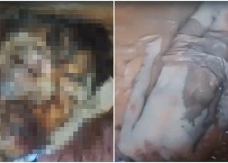 IMAGENS FORTES! Moradores encontram homem torturado por tribunal do crime e gravemente ferido em área de mata no município de Tefé. VEJA VÍDEO
