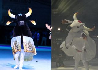 Festival de Parintins 2026: Público poderá acompanhar últimos ensaios de Caprichoso e Garantido no Bumbódromo