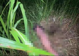 IMAGENS FORTES! MISTÉRIO NO ALFREDO NASCIMENTO: homem é encontrado morto, seminu e ao lado de velas pretas em terreno baldio na Zona Norte de Manaus. VEJA VÍDEO