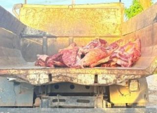Três toneladas de carne irregular são apreendidas em caminhão no município de Nhamundá, interior do Amazonas