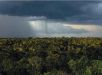 Desmatamento e mudanças climáticas podem levar Amazônia a colapso das chuvas, alerta estudo