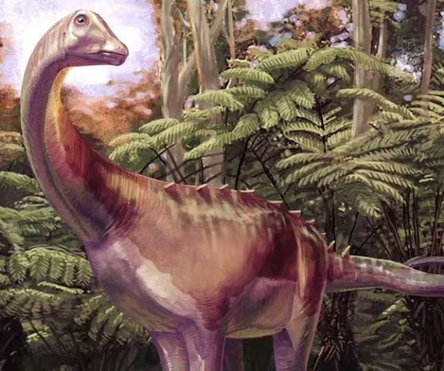 Fóssil guardado por 40 anos em gaveta revela primeiro dinossauro identificado na Antártida