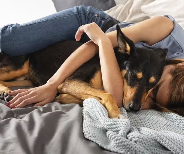 'Melhor amigo do homem'? Estudo revela por que cães prestam mais atenção às vozes femininas