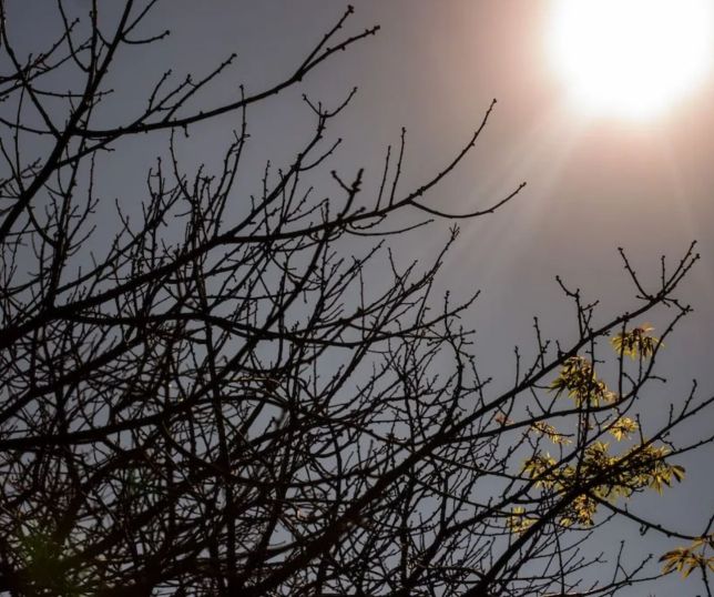 Brasil pode enfrentar um dos El Niños mais intensos da história, alertam especialistas