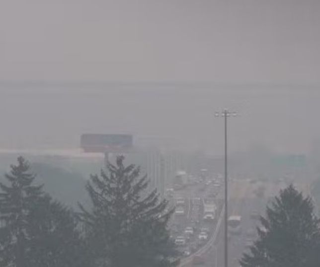 Fumaça de incêndios florestais no Canadá encobre estádio da final da Copa do Mundo e preocupa autoridades