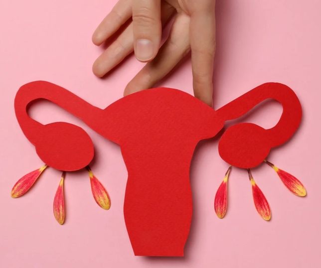 Três sinais da menopausa que muitas mulheres ignoram podem indicar início da transição hormonal, alerta médica