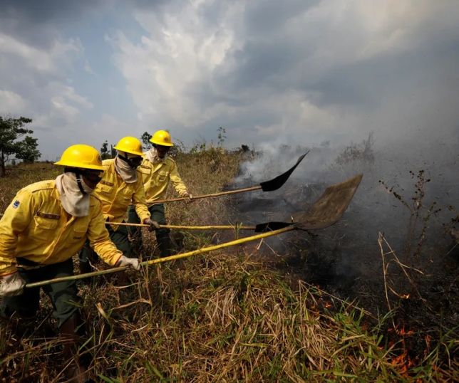 Área queimada no Brasil cai 22% em 2025, mas país ainda registra 16,2 milhões de hectares atingidos pelo fogo
