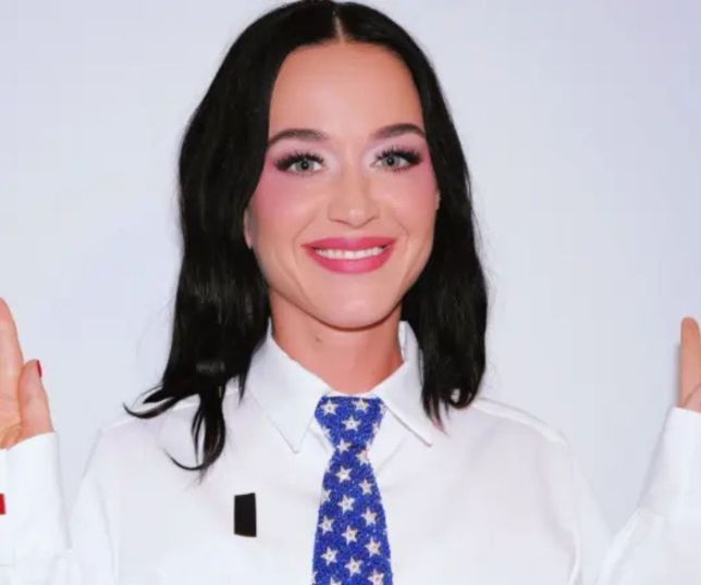 Katy Perry detona Casa Branca por usar 'Firework' em vídeo de bombardeio: 'Não autorizei'