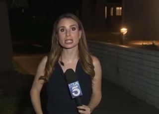 Repórter mantém calma após barata pousar em seu pescoço durante transmissão ao vivo nos EUA. VEJA VÍDEO
