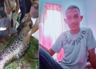 Homem é encontrado dentro de píton de 7 metros após desaparecer em trilha na Indonésia. VEJA VÍDEO  