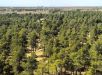 China planta 66 bilhões de árvores e estudo revela efeito inesperado nas florestas; entenda