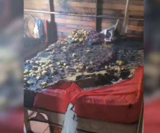 Homem é preso após agredir companheira e colocar fogo em colchão onde filha de 3 anos dormia em Manacapuru