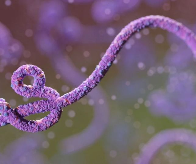 Surto de ebola no Congo se torna o segundo maior da história, aponta balanço oficial