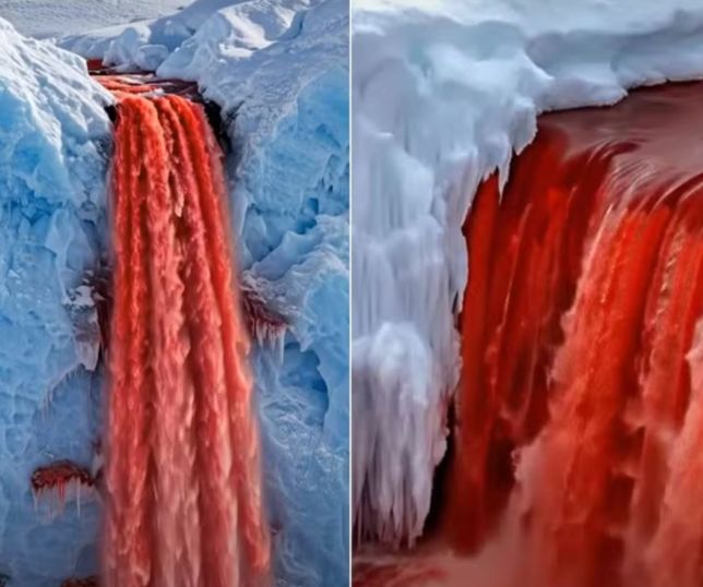 Estudo revela que misteriosas 'Cascatas de Sangue' da Antártica escondem vida marinha isolada há milhares de anos