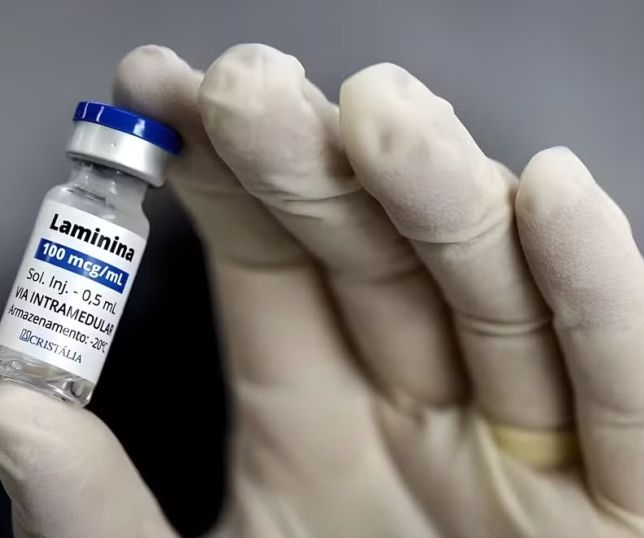 Polilaminina avança em testes clínicos e pesquisadores esperam tratar primeiro paciente ainda em agosto