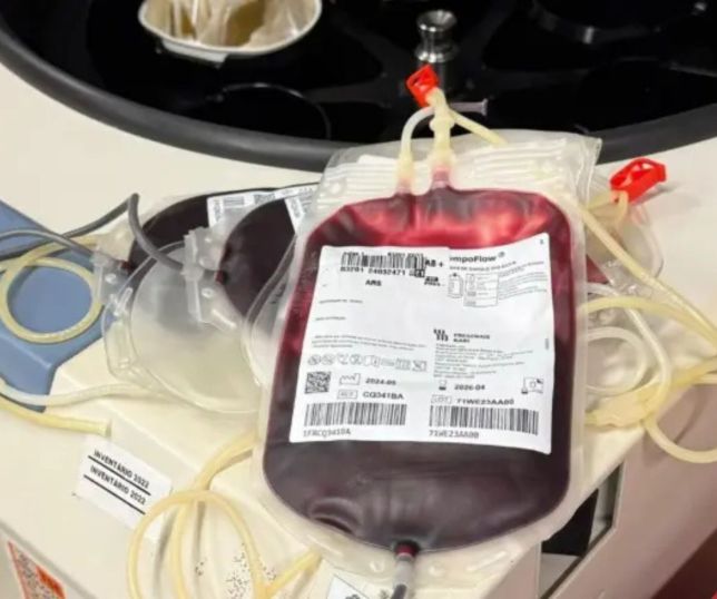 Novas regras para doação de sangue reduzem prazo após tatuagem e procedimentos estéticos