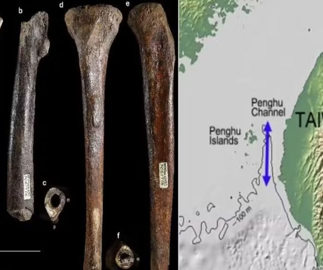Fósseis de denisovanos encontrados no fundo do mar reacendem especulação sobre 'gigantes' da Bíblia