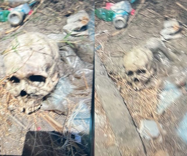 BIZARRO! Crânio humano é encontrado em área apontada como ponto de tráfico em Manaus