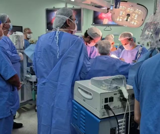 Gêmeas unidas pela cabeça morrem durante última cirurgia de separação em Ribeirão Preto