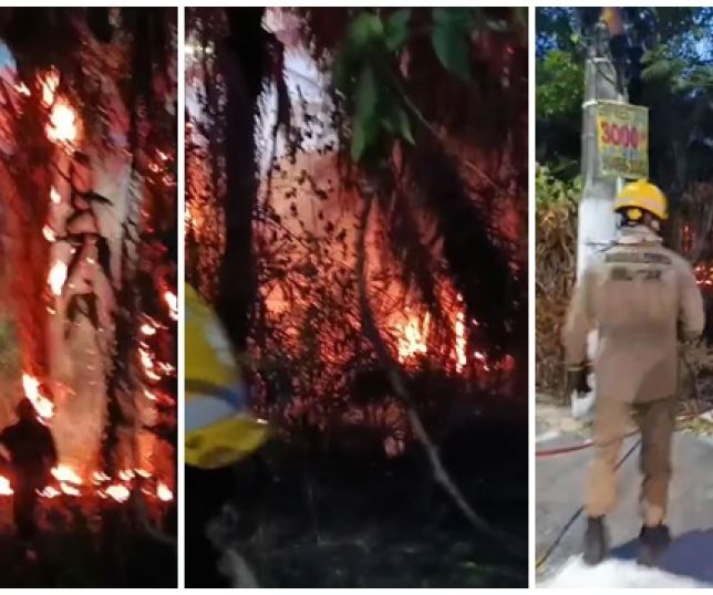 Queimada avança e está destruindo área verde desde o final da tarde na divisa entre os bairros Adrianópolis e Nossa Senhora das Graças, Zona Centro-Sul de Manaus. VEJA VÍDEOS