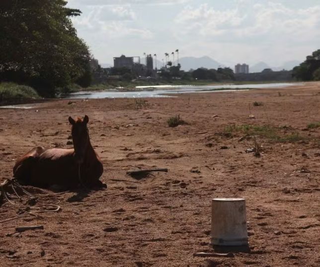 Secas extremas podem durar quase dois anos e ameaçar abastecimento de São Paulo e Rio
