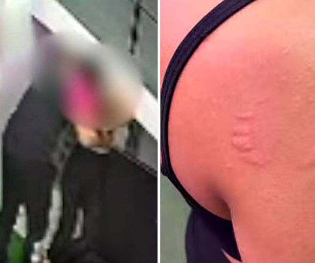 JACK! Professora denuncia instrutor de academia por importunação sexual no Recife. VEJA VÍDEO