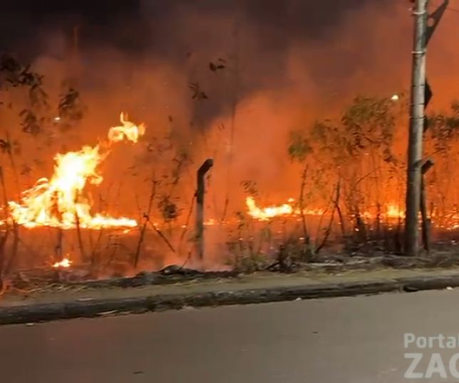 Incêndio atinge área de vegetação e ameaça rede elétrica no Distrito Industrial, Zona Sul de Manaus de Manaus. VEJA VÍDEO