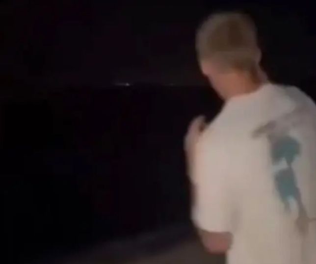 Vídeo mostra adolescente agredindo leão-marinho enquanto jovens registram a cena. VEJA VÍDEO