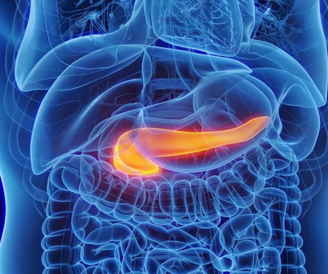 Homem perde peso rapidamente, recebe diagnóstico de diabetes e morre após câncer ser descoberto