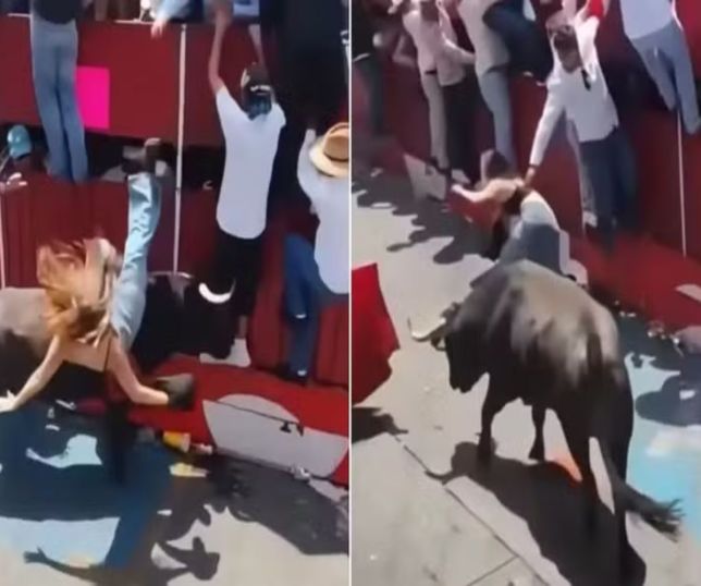 IMAGENS FORTES! Mulher fica com o rosto desfigurado após ser chifrada por touro em festival no México. VEJA VÍDEO