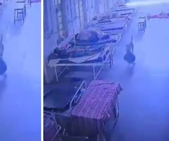Cão 'ladrão' furta bolsa com joias avaliadas em R$ 21 mil em hospital na Índia. VEJA VÍDEO