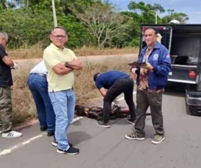 Corpo de mulher em avançado estado de decomposição é encontrado na estrada de Iranduba, Região Metropolitana de Manaus. VEJA VÍDEO