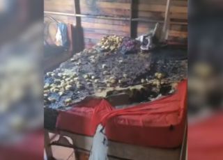 Homem é preso após agredir companheira e colocar fogo em colchão onde filha de 3 anos dormia em Manacapuru