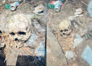 BIZARRO! Crânio humano é encontrado em área apontada como ponto de tráfico em Manaus