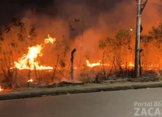 Incêndio atinge área de vegetação e ameaça rede elétrica no Distrito Industrial, Zona Sul de Manaus de Manaus. VEJA VÍDEO