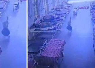 Cão 'ladrão' furta bolsa com joias avaliadas em R$ 21 mil em hospital na Índia. VEJA VÍDEO