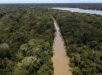 Estudo alerta que Amazônia pode perder até 38% da cobertura florestal até 2060