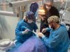 ''Mês do Sorriso'': clínicas ofertam prevenção e saúde bucal acessível até o fim do mês