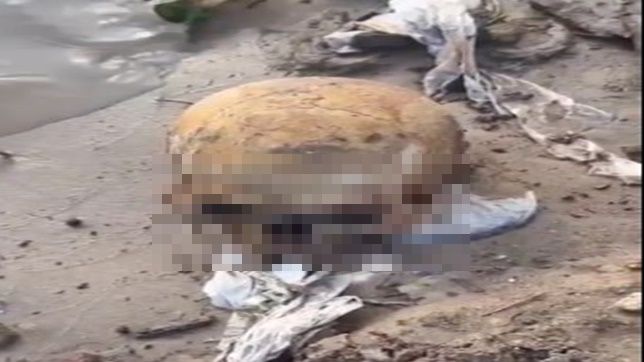 IMAGENS FORTE!S! GARIS FICAM APAVORADOS APÓS ENCONTRAR CRÂNIO HUMANO À MARGEM DO RIO NEGRO NO CENTRO DE MANAUS, ZONA SUL. VEJA VÍDEOE REPORTAGEM DO 'PORTAL DO ZACARIAS' AO VIVO