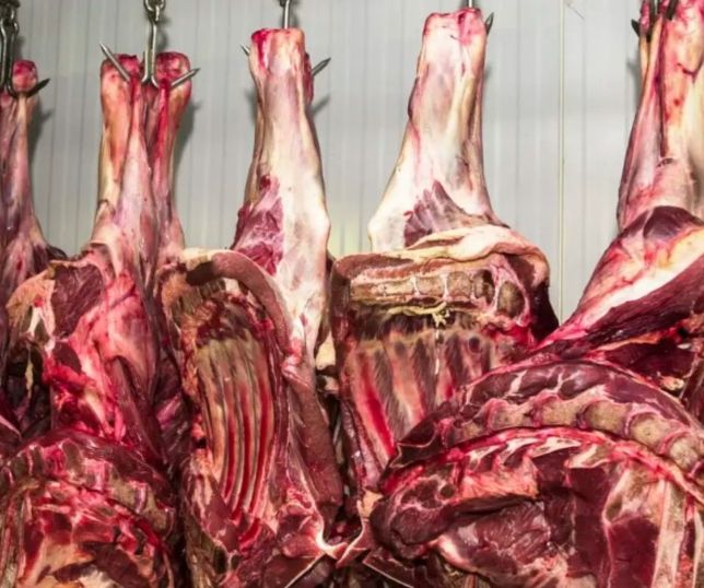 UE suspende importação de carnes e outros produtos do Brasil; entenda os impactos