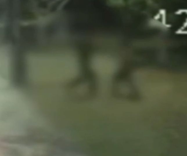 Motorista é preso suspeito de matar colega a facadas após discussão em Manaus. VEJA VÍDEO E REPORTAGEM DO 'PORTAL DO ZACARIAS' O VIVO